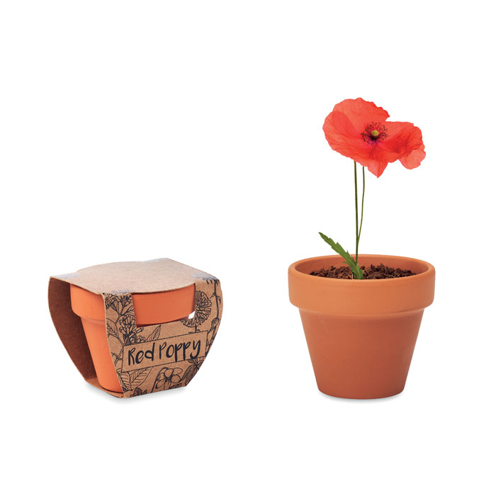 Terracotta pot 'poppy'