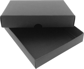 Box (14,5x13,5x2,5cm)