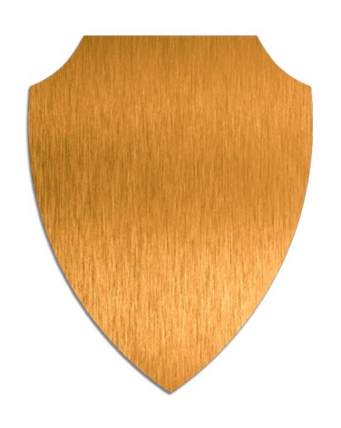 GOLD PLATE X SUBLIMATION 180X144 mm