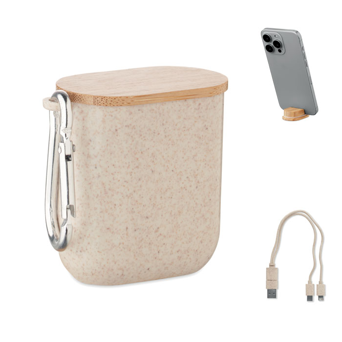 Cable set in case