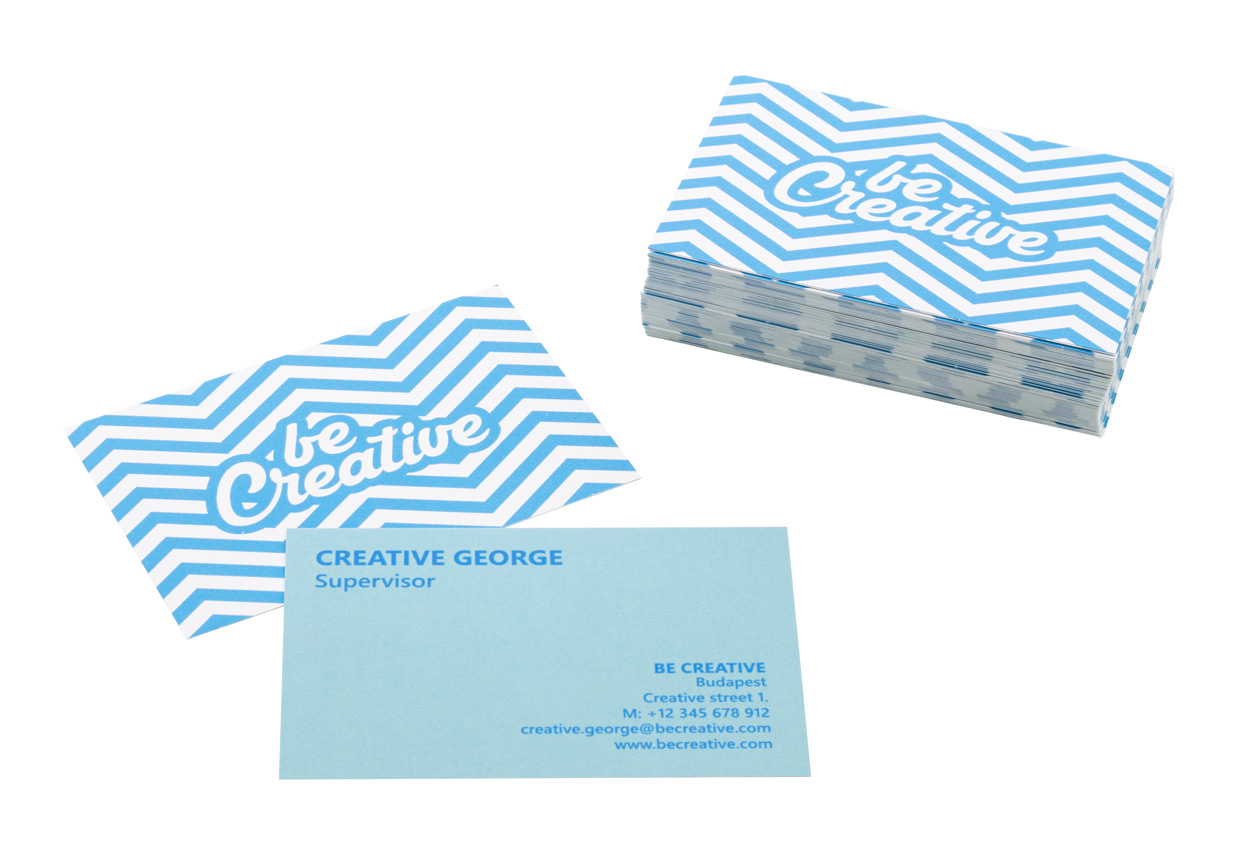 Visicard Safe custom tearproof business cards