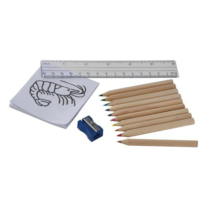 Drawing set for kids Little Picasso