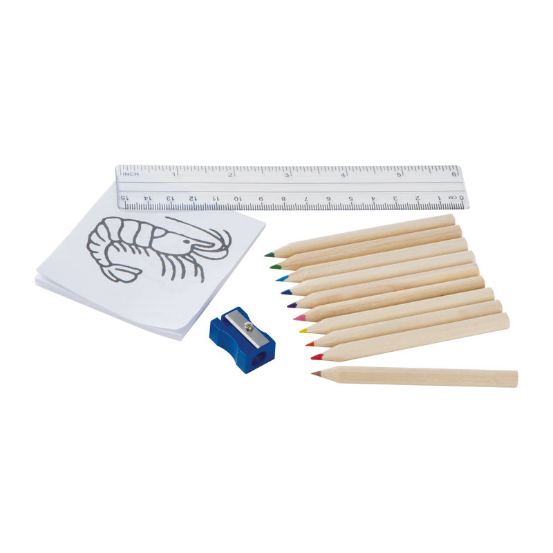 Drawing Set for Kids Little Picasso
