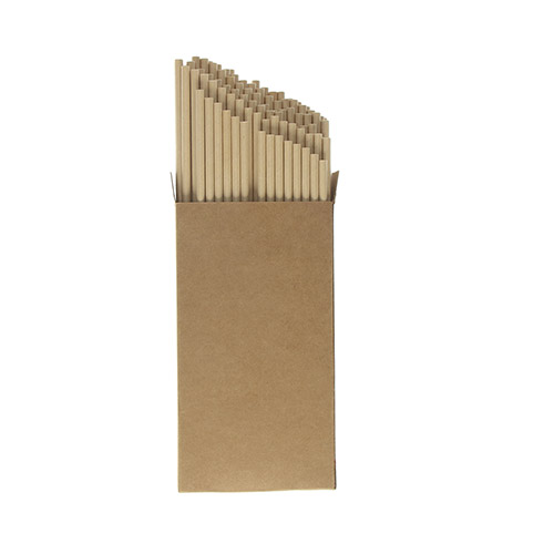 Pack of 100 paper straws