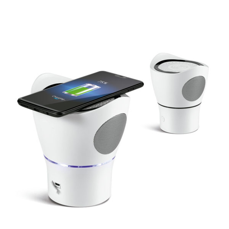 Speaker with microphone