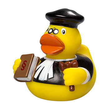 Squeaky duck, judge