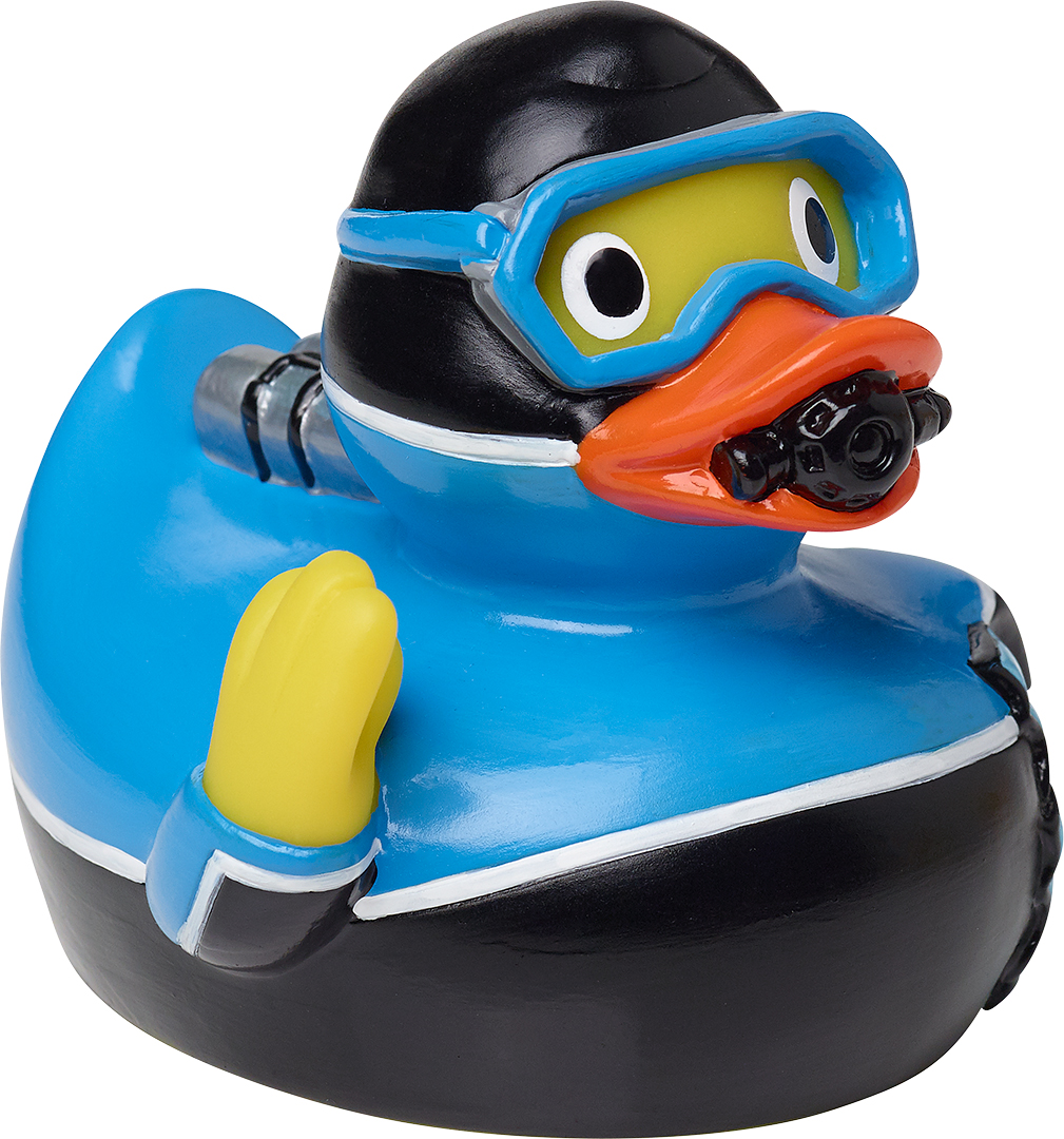 Squeaky duck Diver