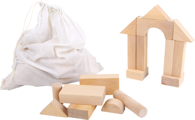 Bag with 50 Large Blocks