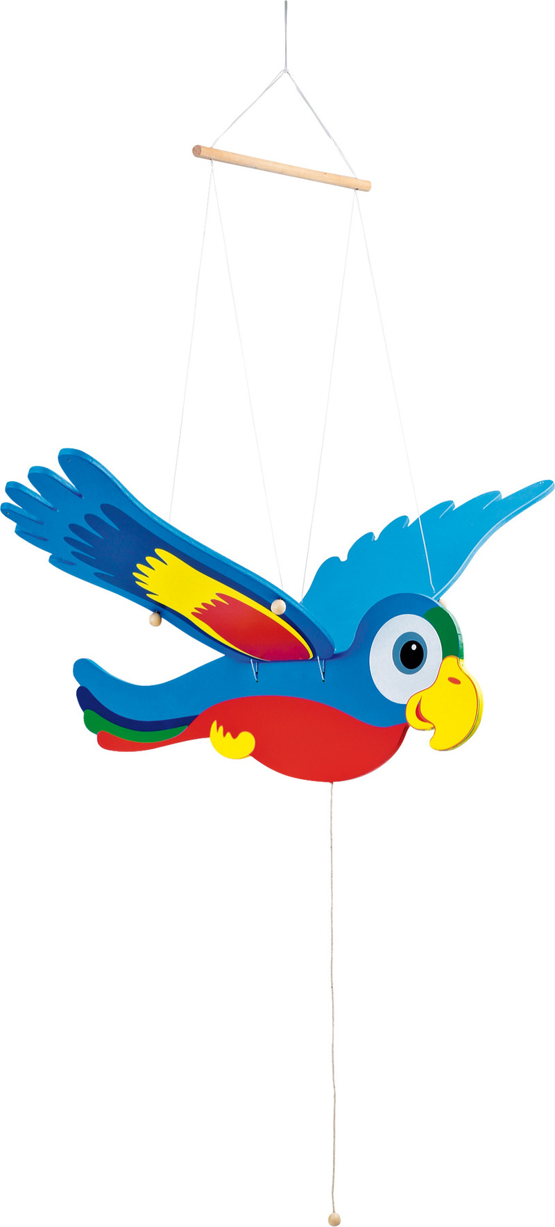 Swinging Parrot, coloured