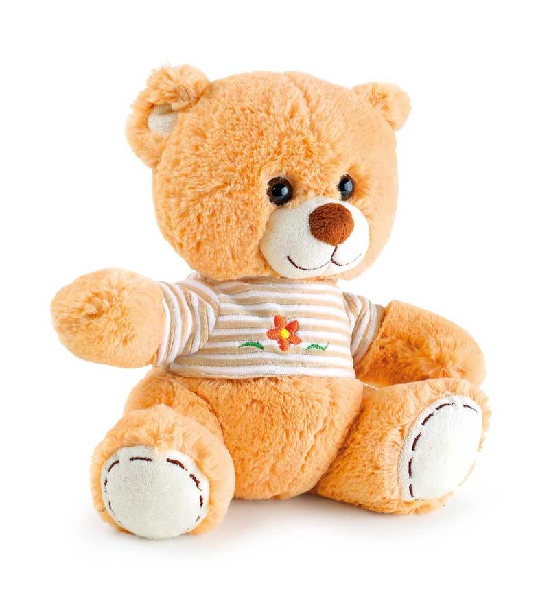 Teddybär T-Shirt