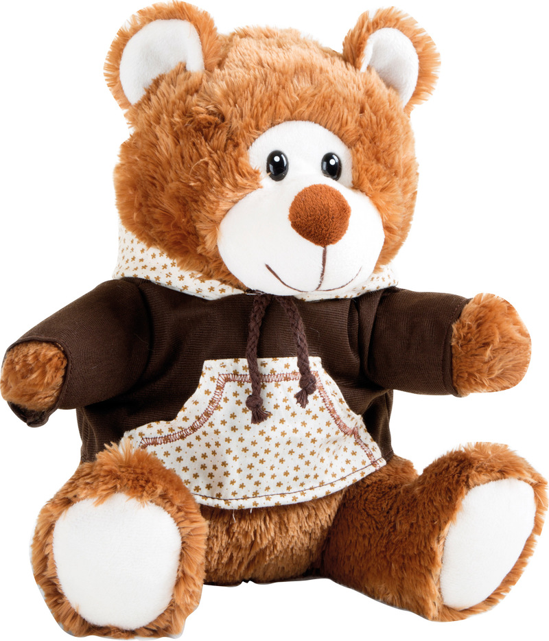 Teddy Bear with Hoodie