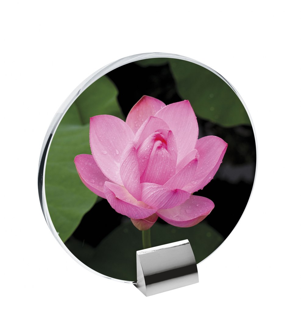 GLASS WITH BUILT-IN STAND 180X175