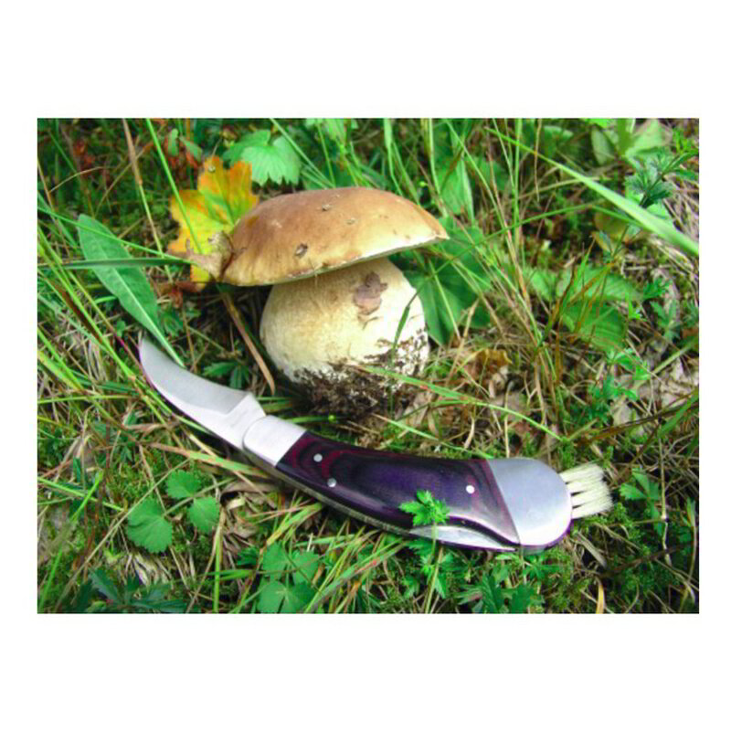PILZ mushroom knife