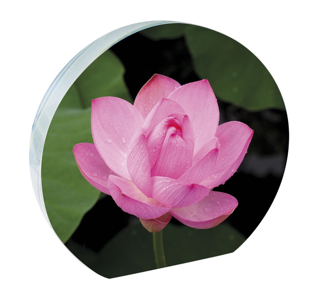 Half-round glass sublimation 120x110 mm