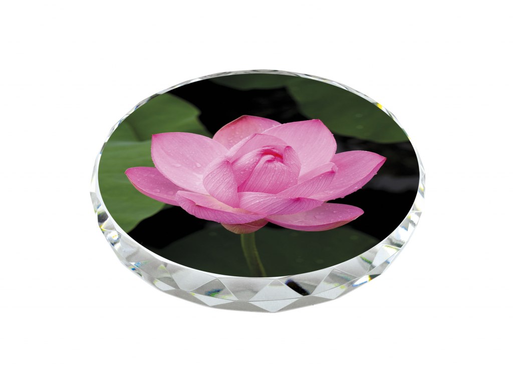 PAPER WEIGHT SHAPED FOR SUBLIMATION