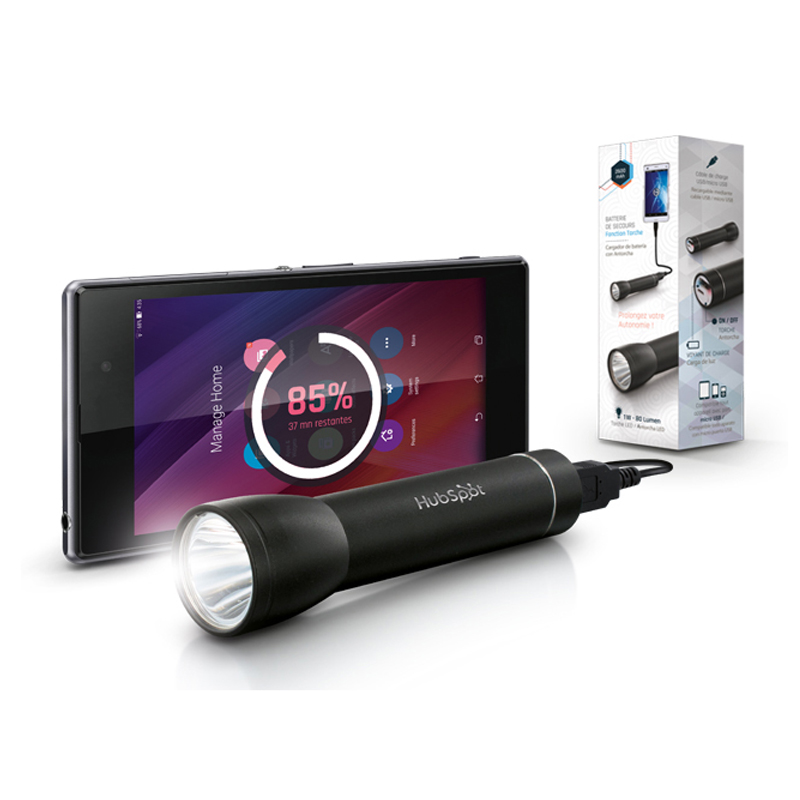 2600 mAh emergency charger with torch function