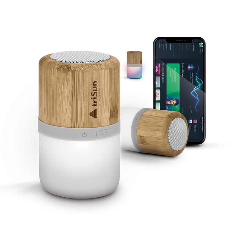 BT SPEAKER