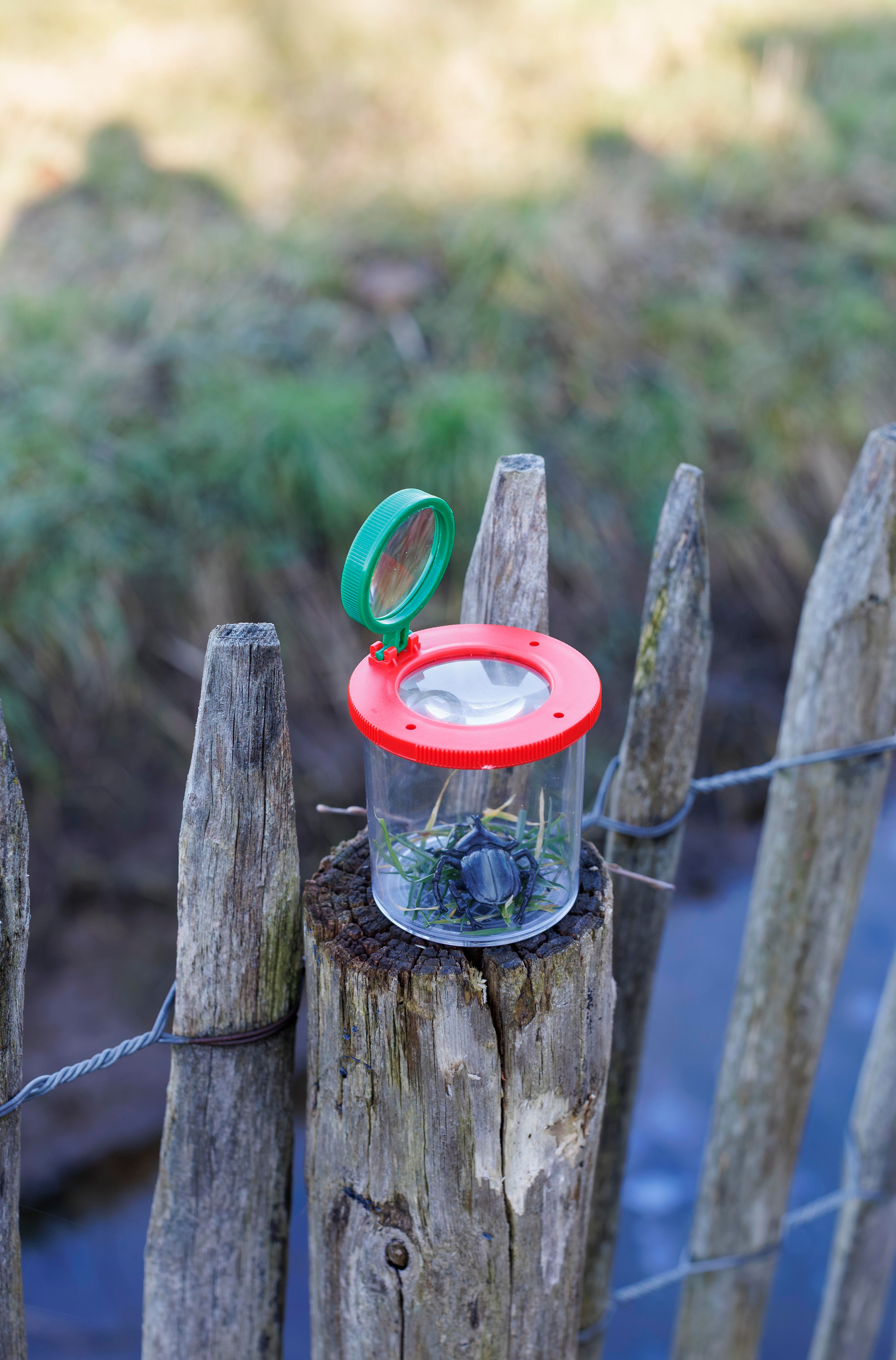 Magnify jar Sunlit