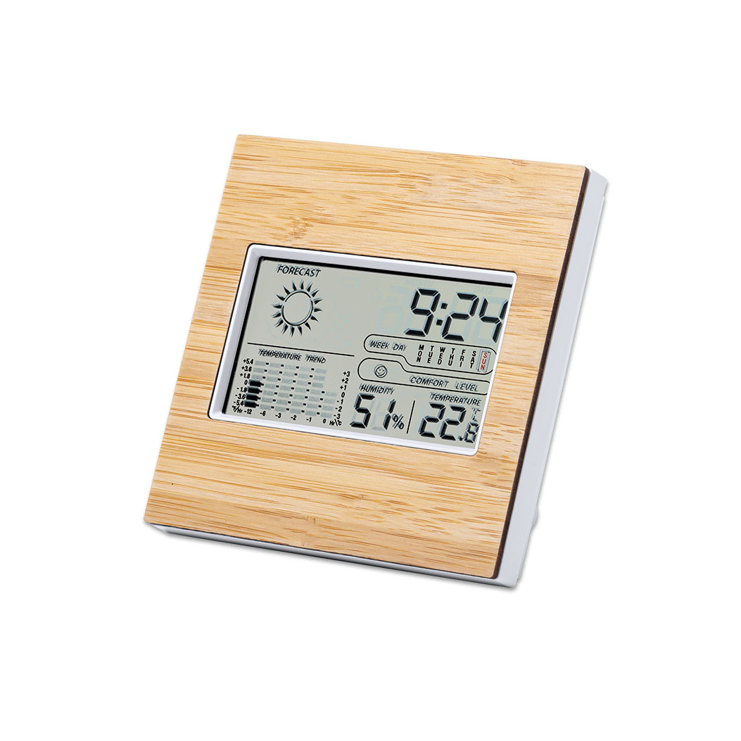 WEATHER STATION BEHOX