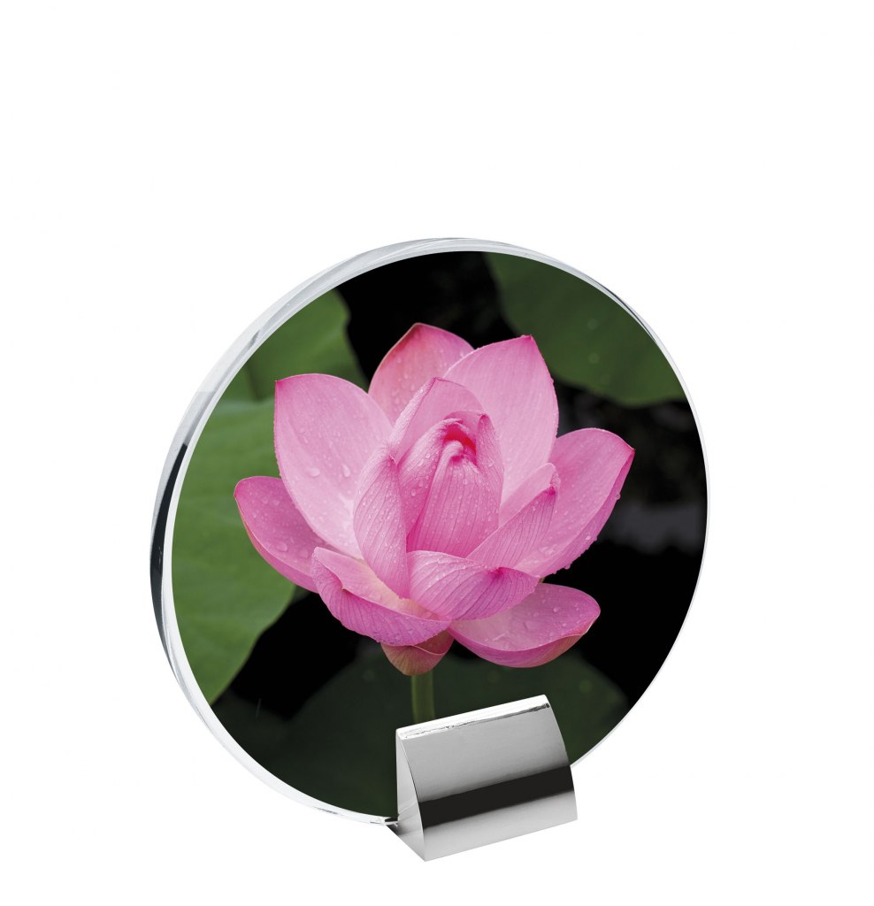 GLASS WITH BUILT-IN STAND 160X155