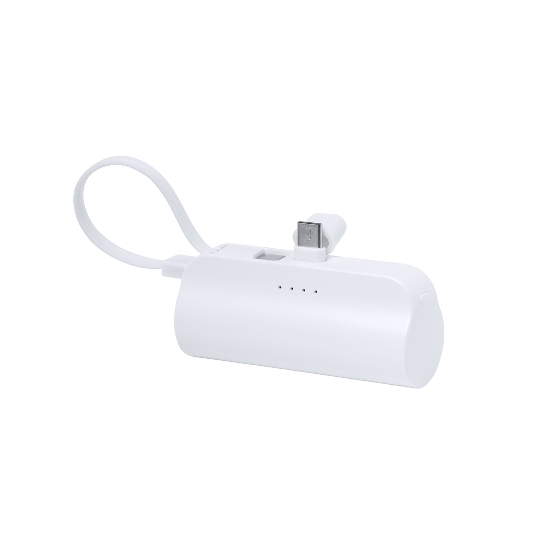 LafordPower Bank