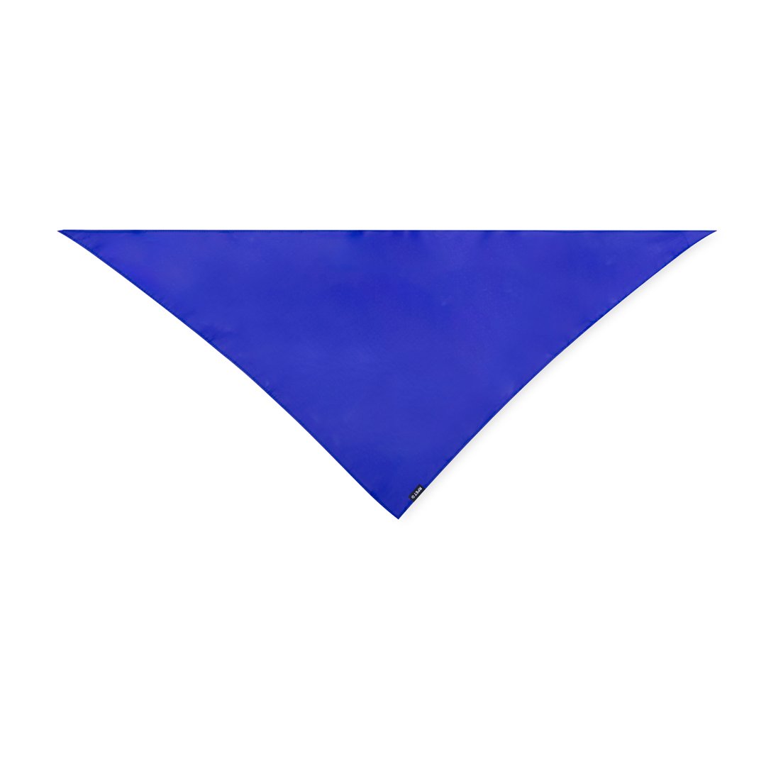 WasatNeckerchief