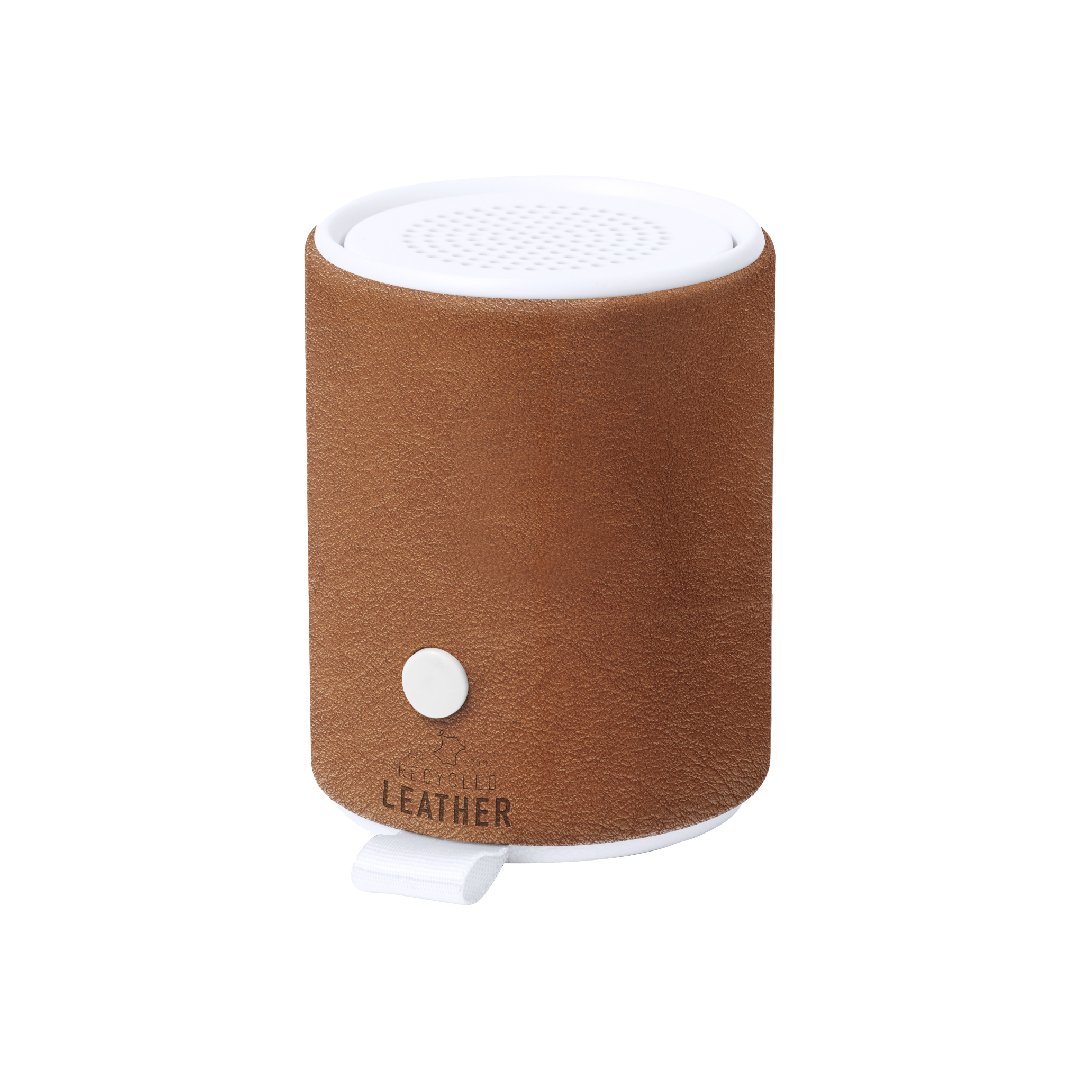 Sotep RCSSpeaker