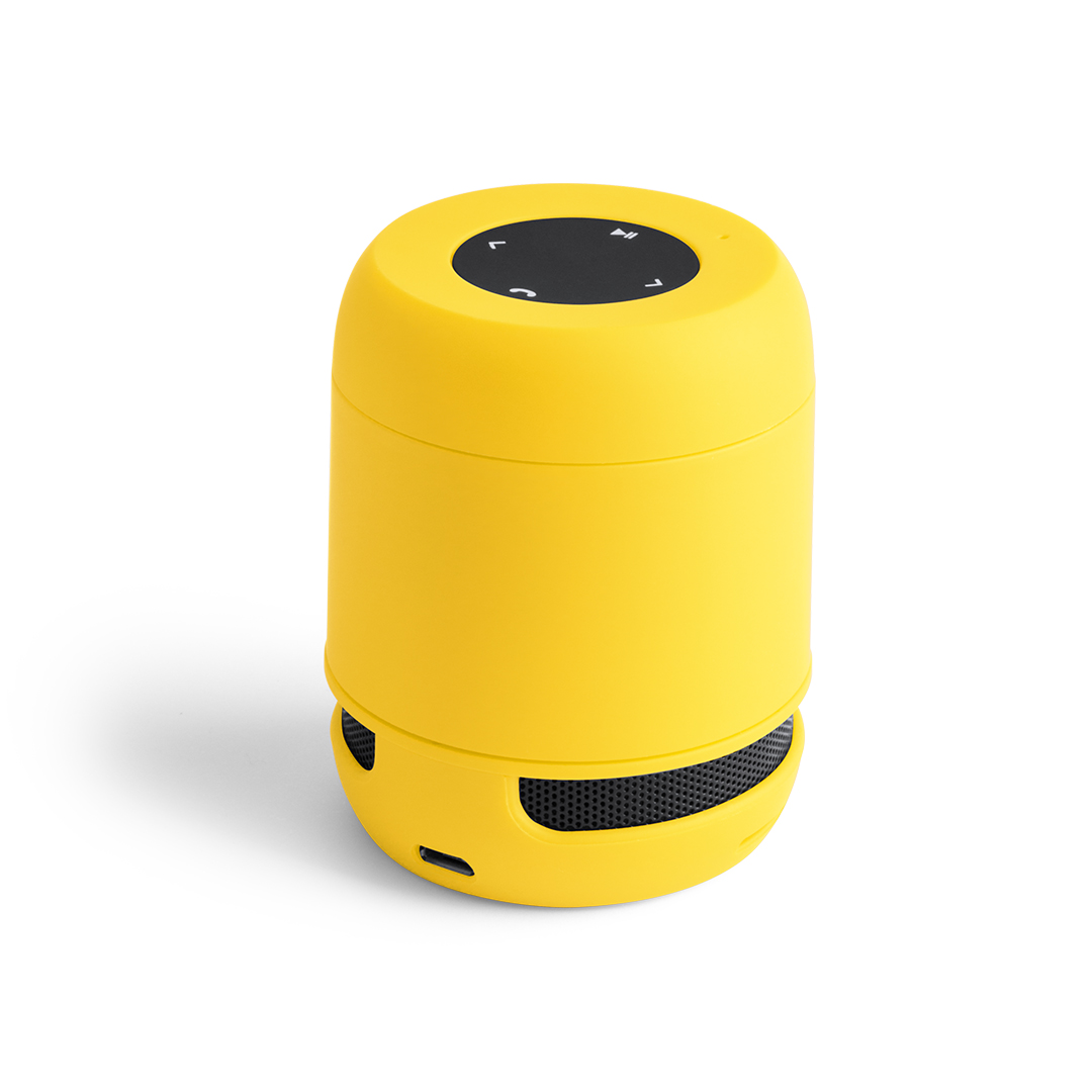 BraissSpeaker