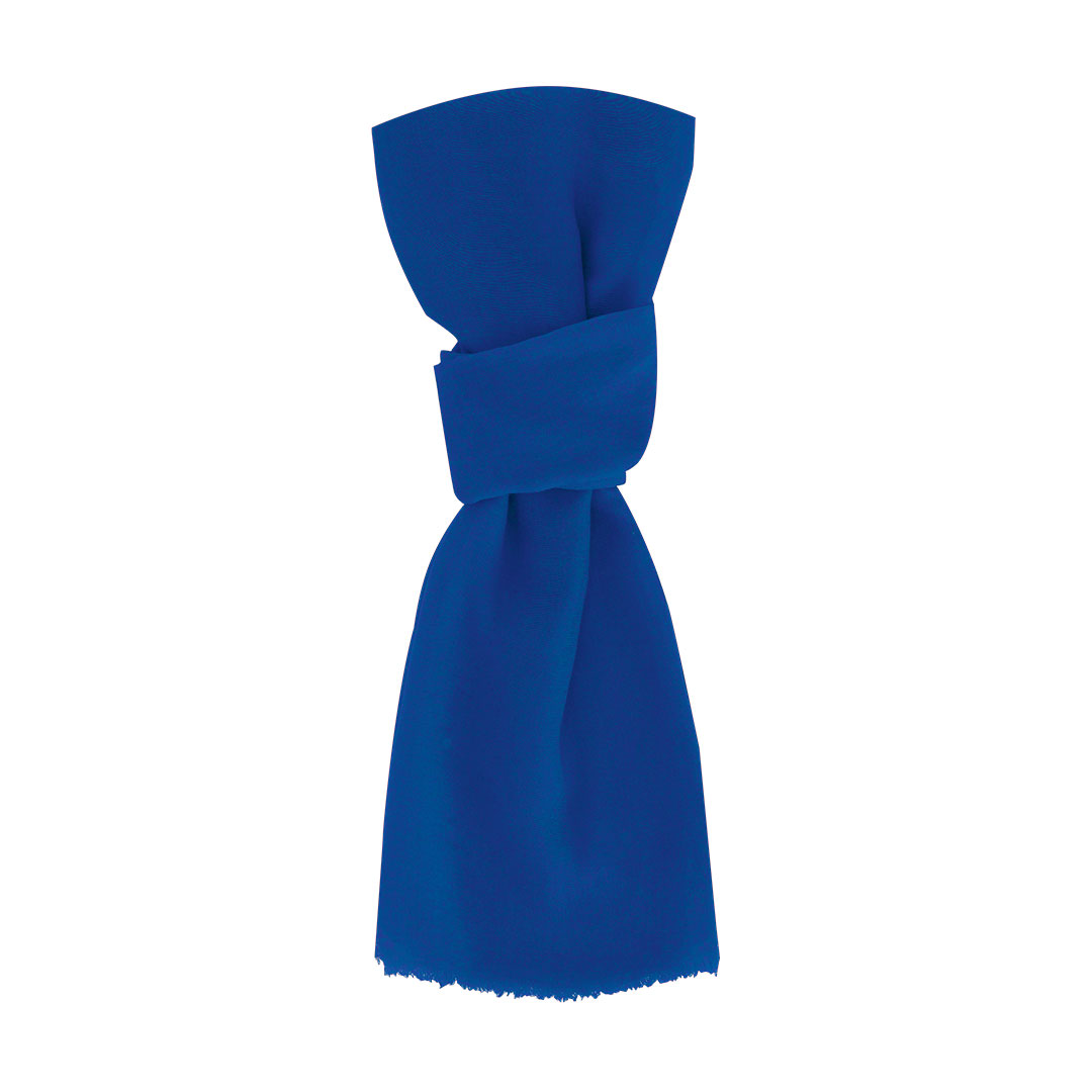 RibbanFoulard