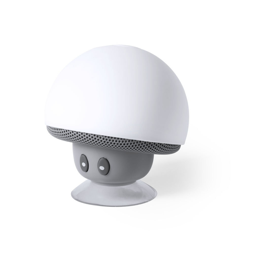 WanapSpeaker