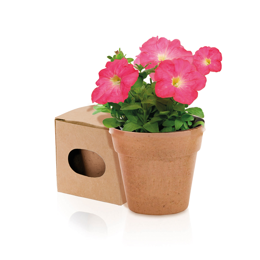 AdvertFlowerpot