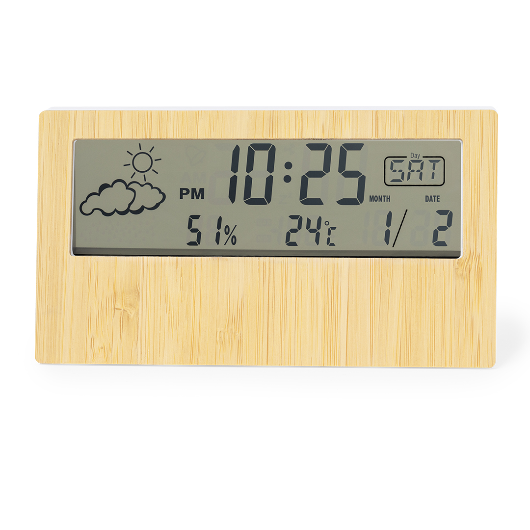 RoamerWeather Station