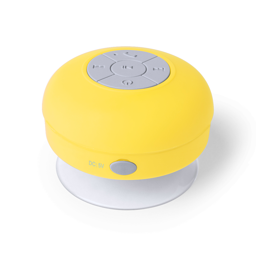 RariaxSpeaker