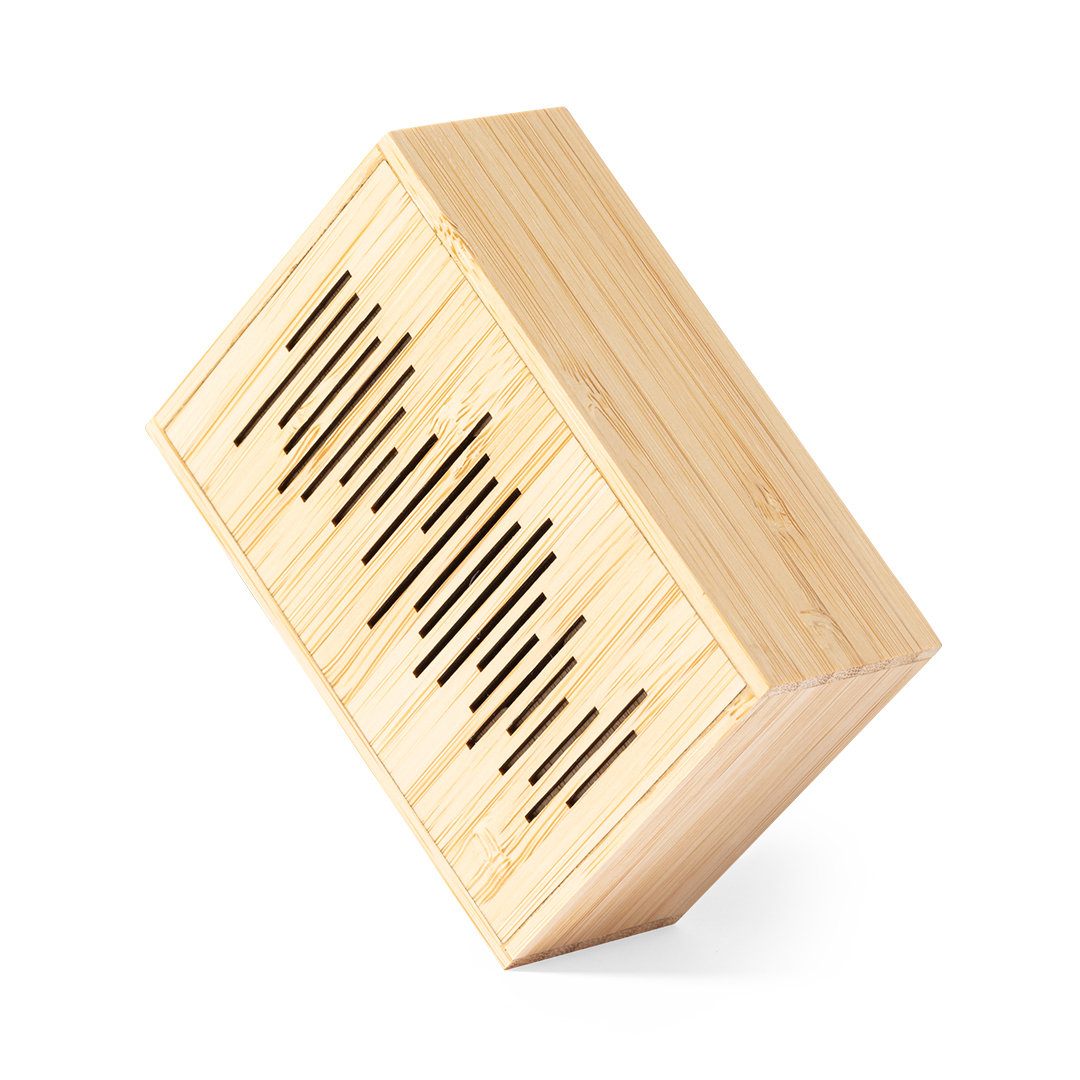 Laurens FscSpeaker