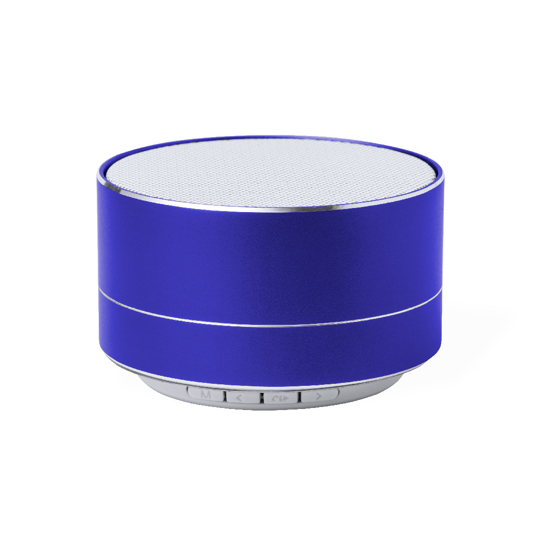 SkindSpeaker