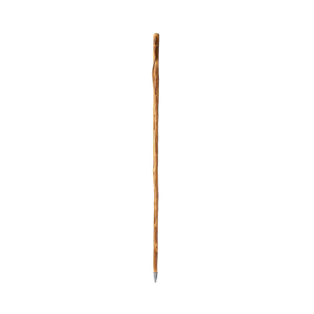 TamdarWalking Pole