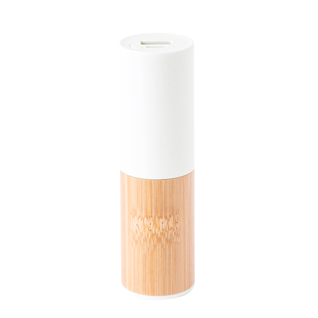 RenehPower Bank