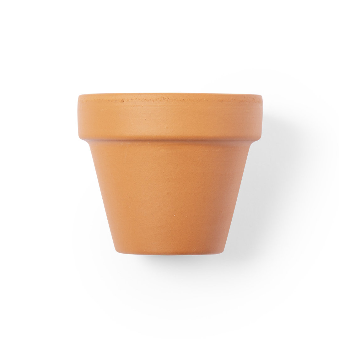 SoltaxFlowerpot