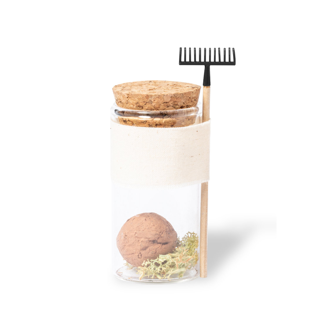 WinsuSeed Bonbons