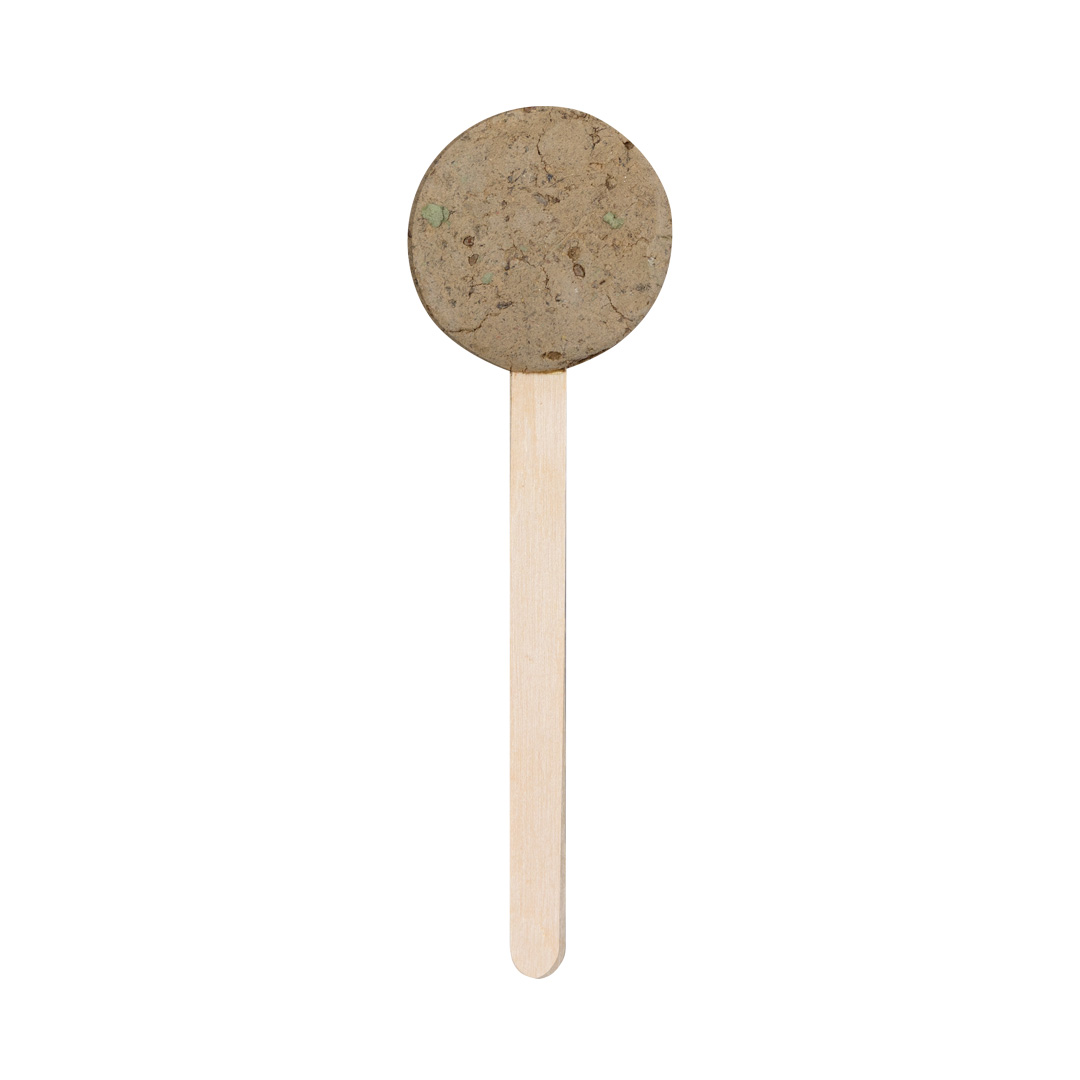 EbeldySeed Lollipop