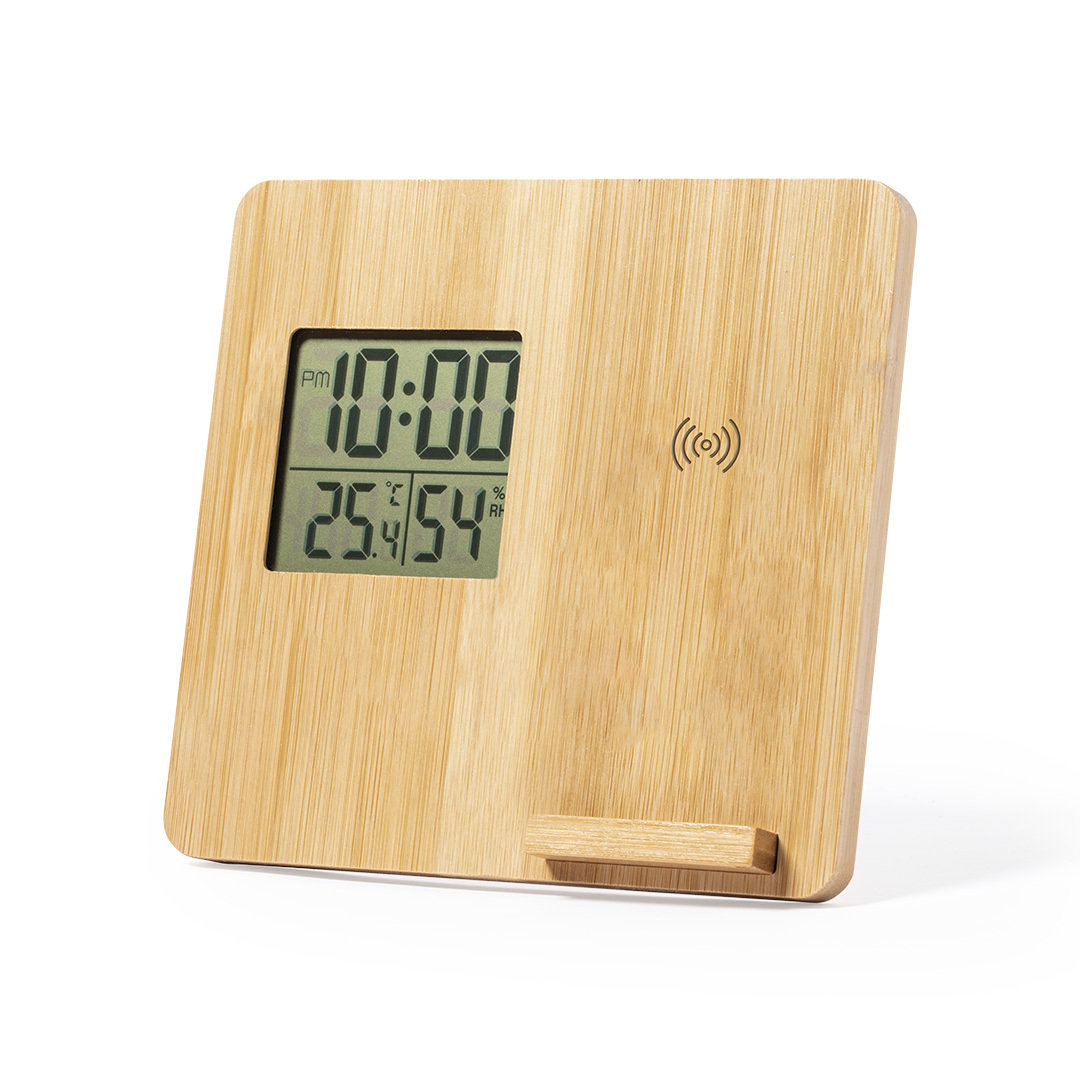 FioryWeather Station Charger