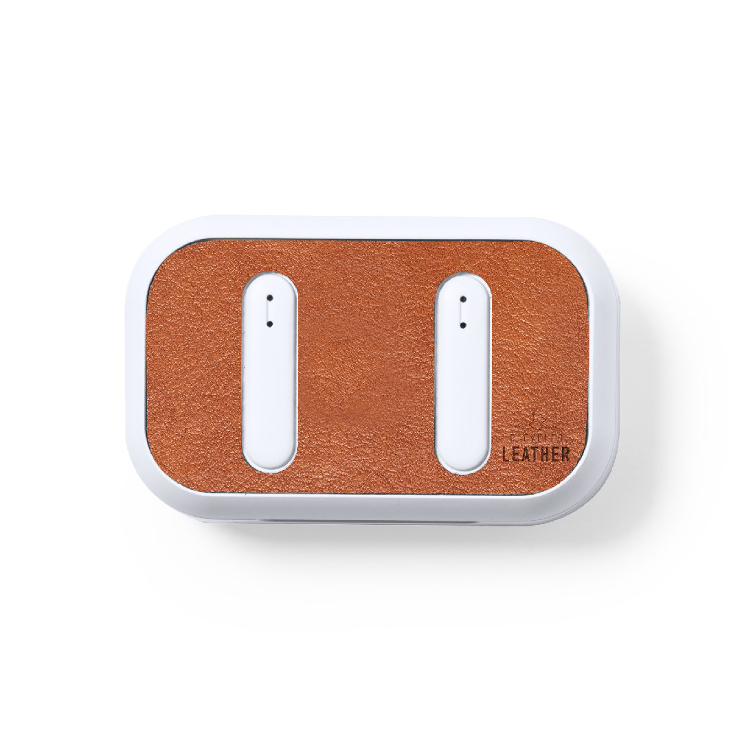 Shizar RCSEarphones