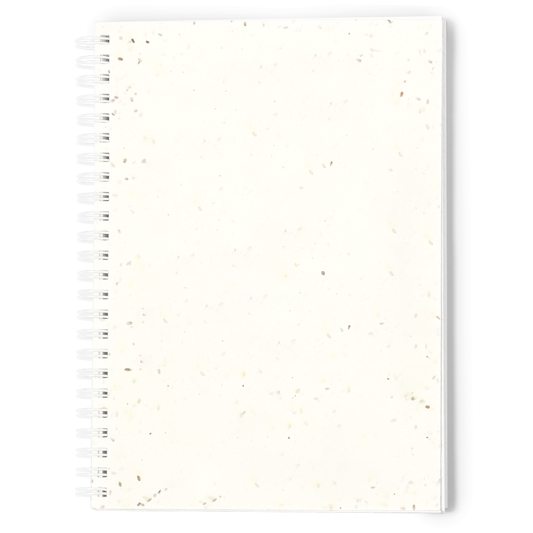 BitarSeeds Notebook