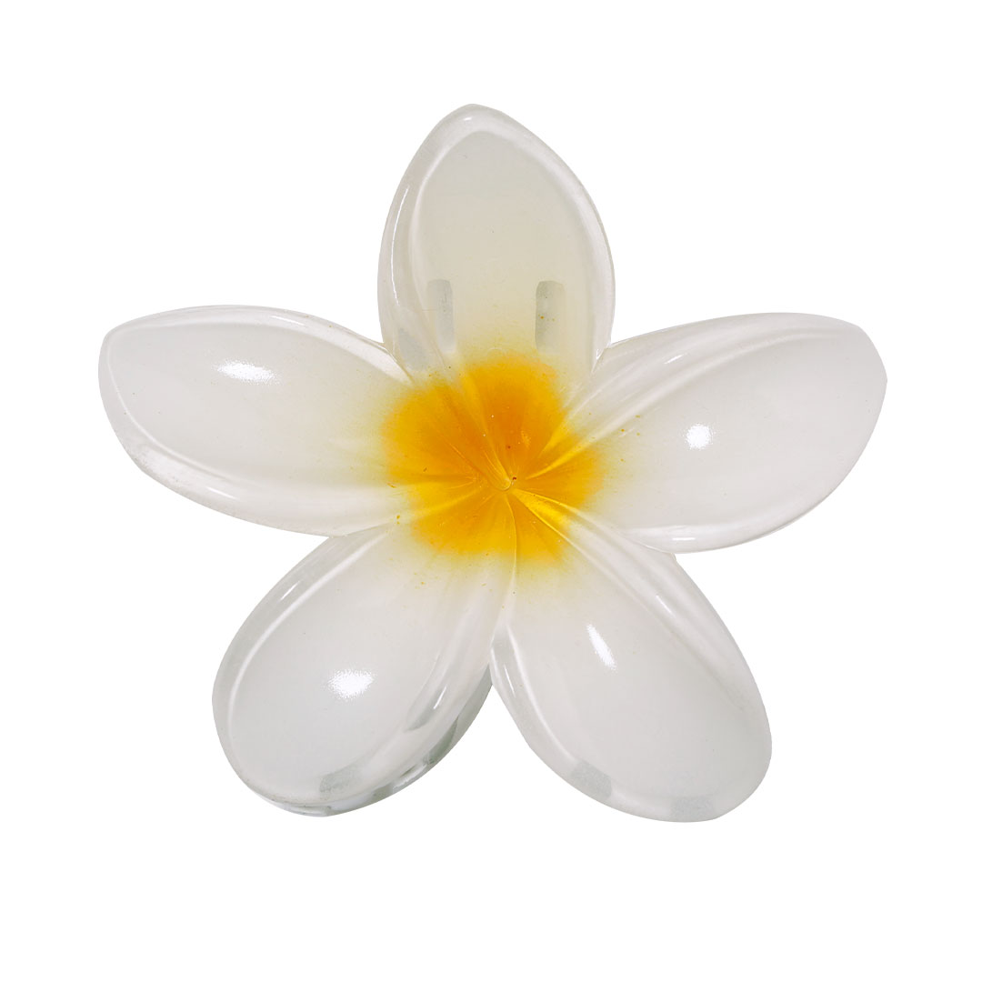 TixconHair Clip