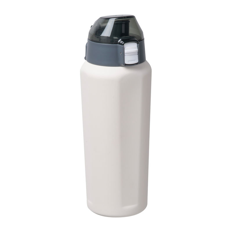 Stainless Steel Bottle Puente Alto 600 ml