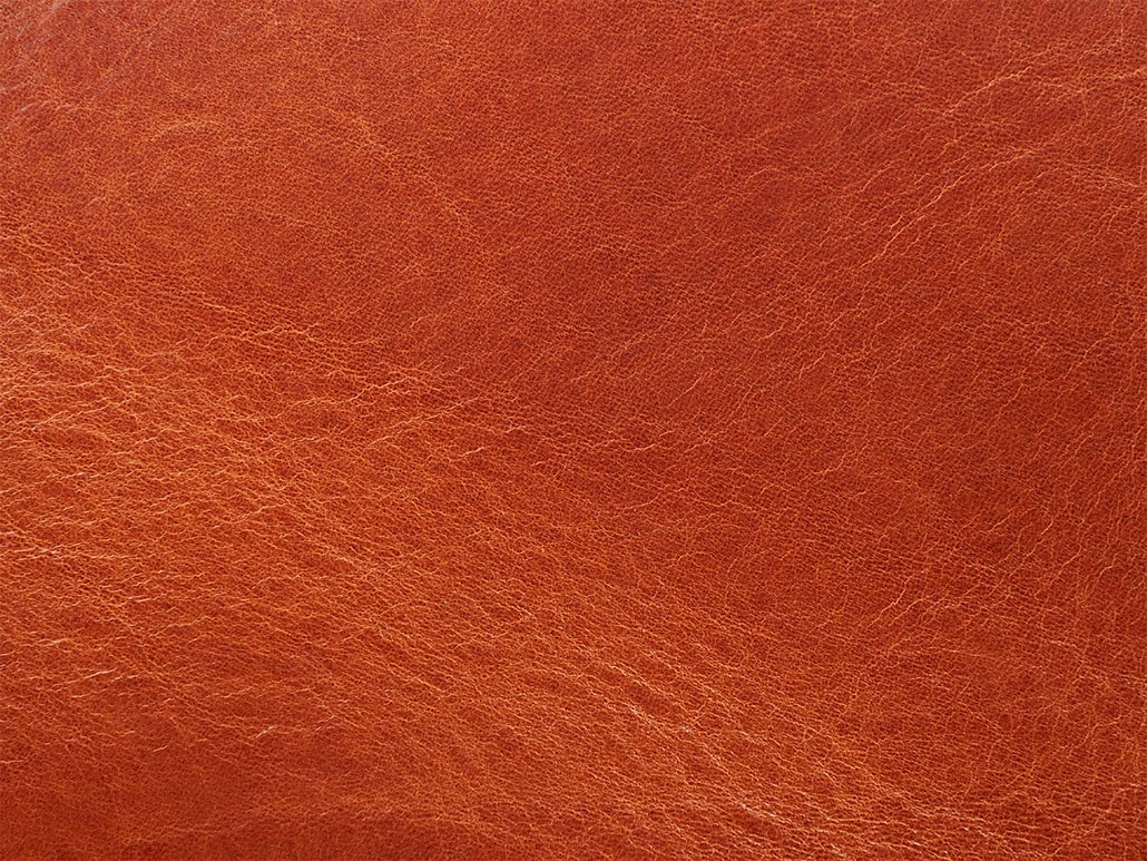 Primavera cognac 06
