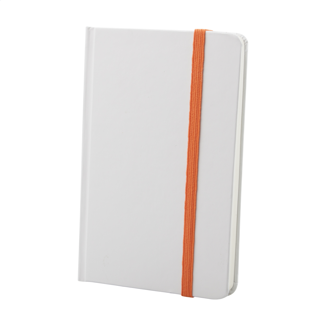 Pendula A6 notebook