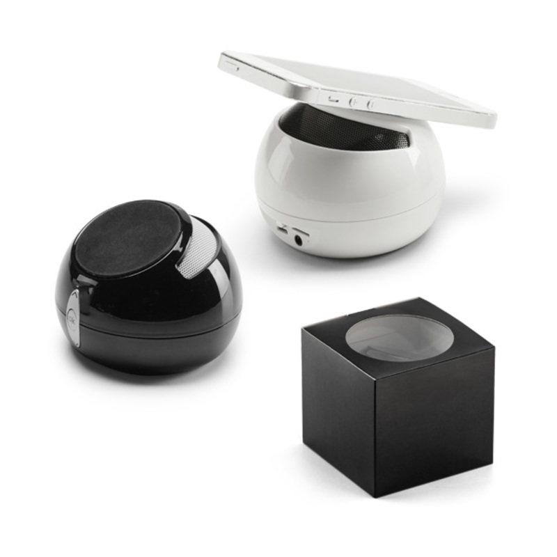 Speaker with microphone