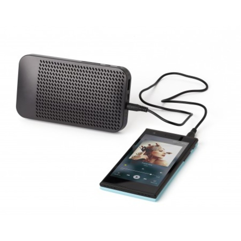 Wireless speaker and power bank